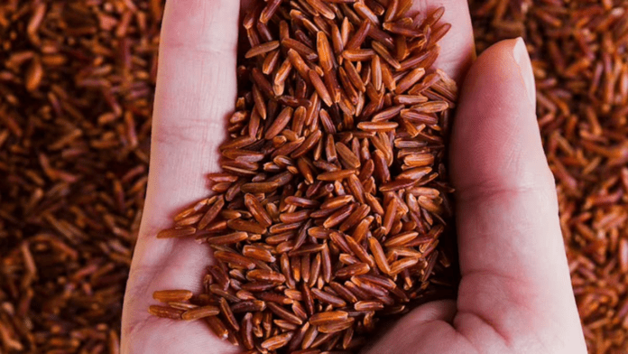 Red rice benefits