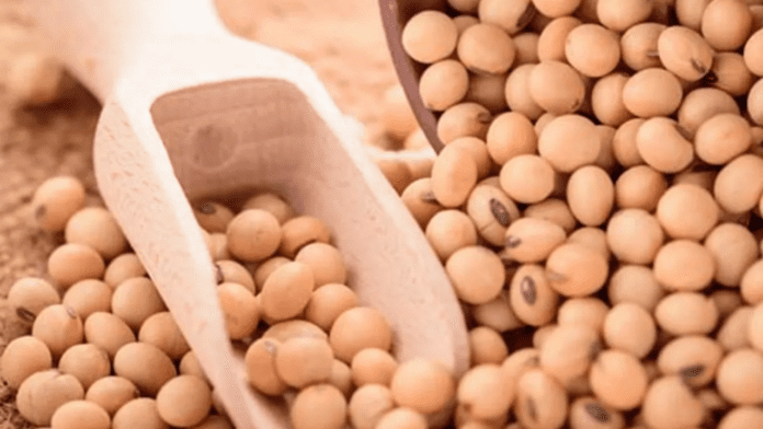 Soybean Benefits