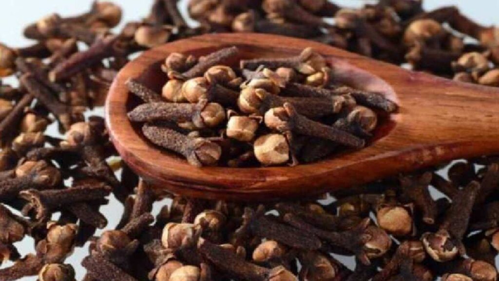 benefits of cloves