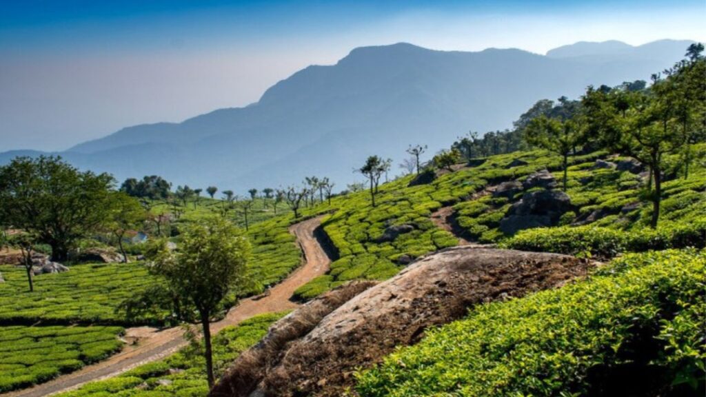 IRCTC Ooty Madumalai Tour package