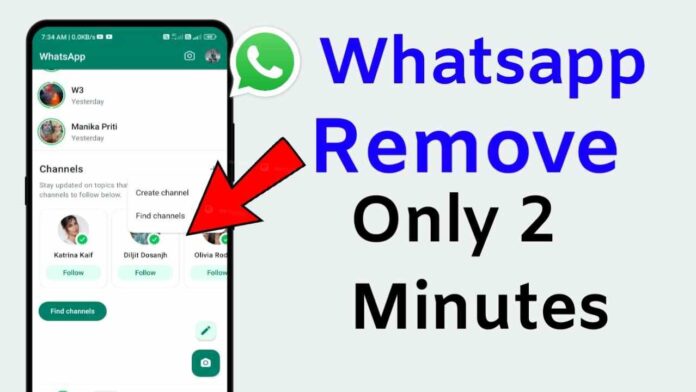 WhatsApp Channel Delete Tips