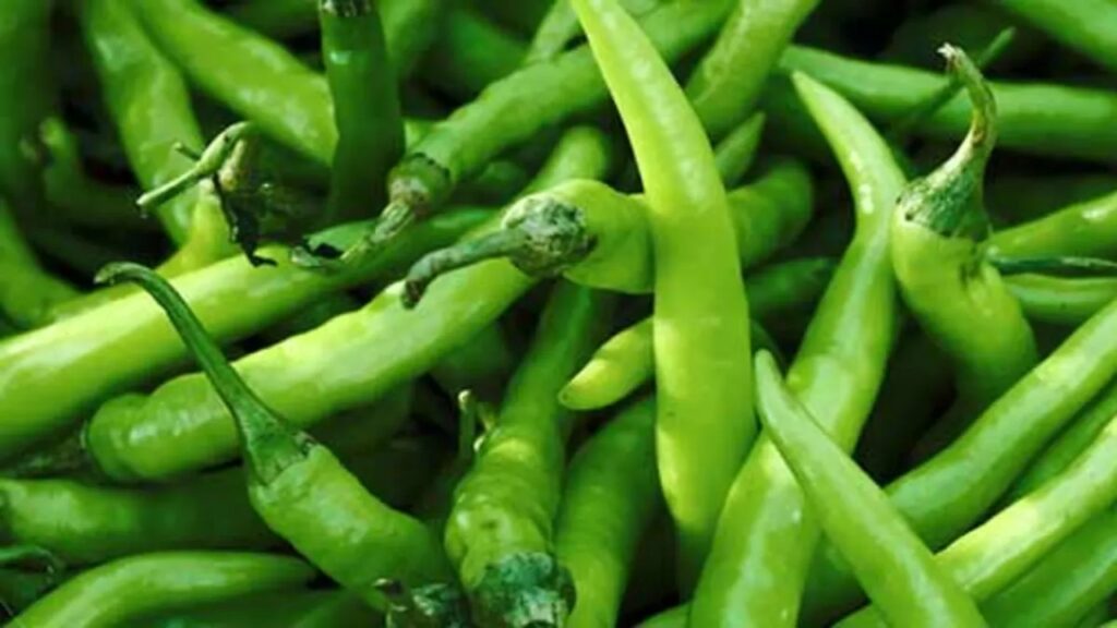 Green Chilli